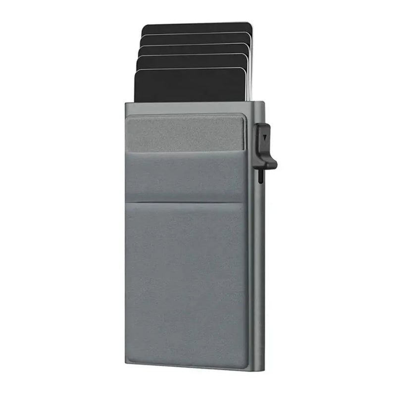 travel wallet organizer singapore